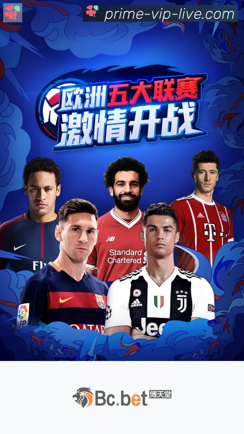 奖项证书